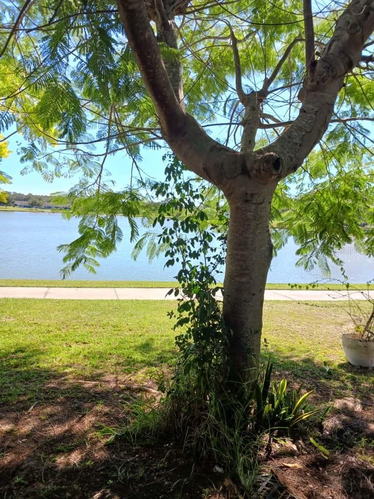 417 CLUB CIR, LAKESHORE, FL, 33854