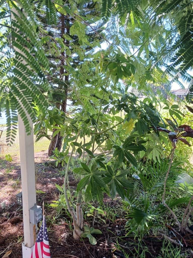 417 CLUB CIR, LAKESHORE, FL, 33854