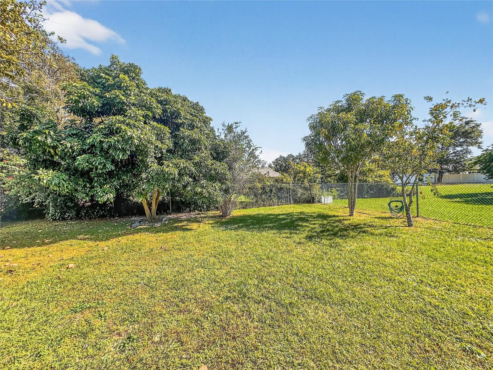 3729 CAPETOWN DR, ORLANDO, FL, 32817