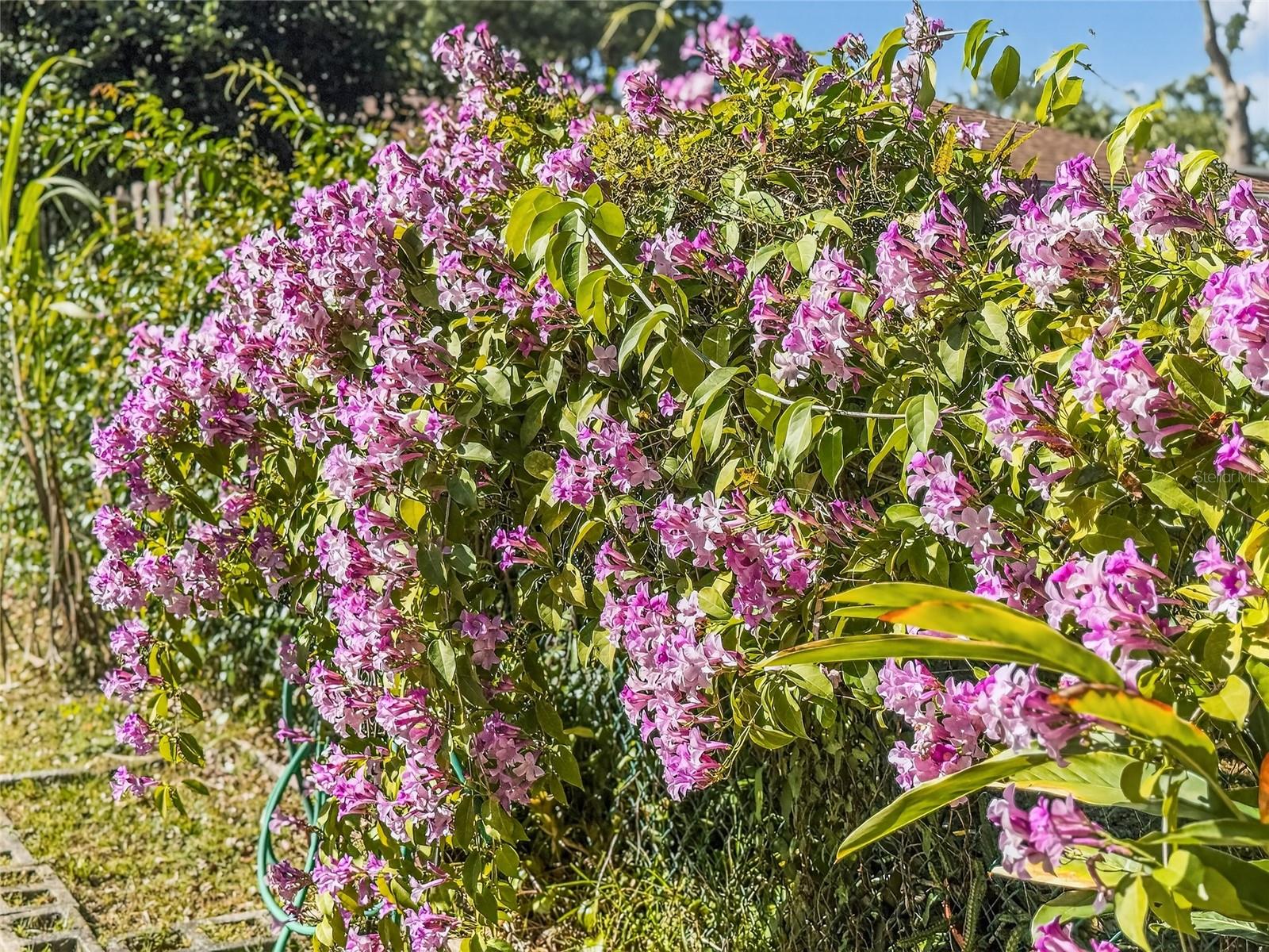 3729 CAPETOWN DR, ORLANDO, FL, 32817