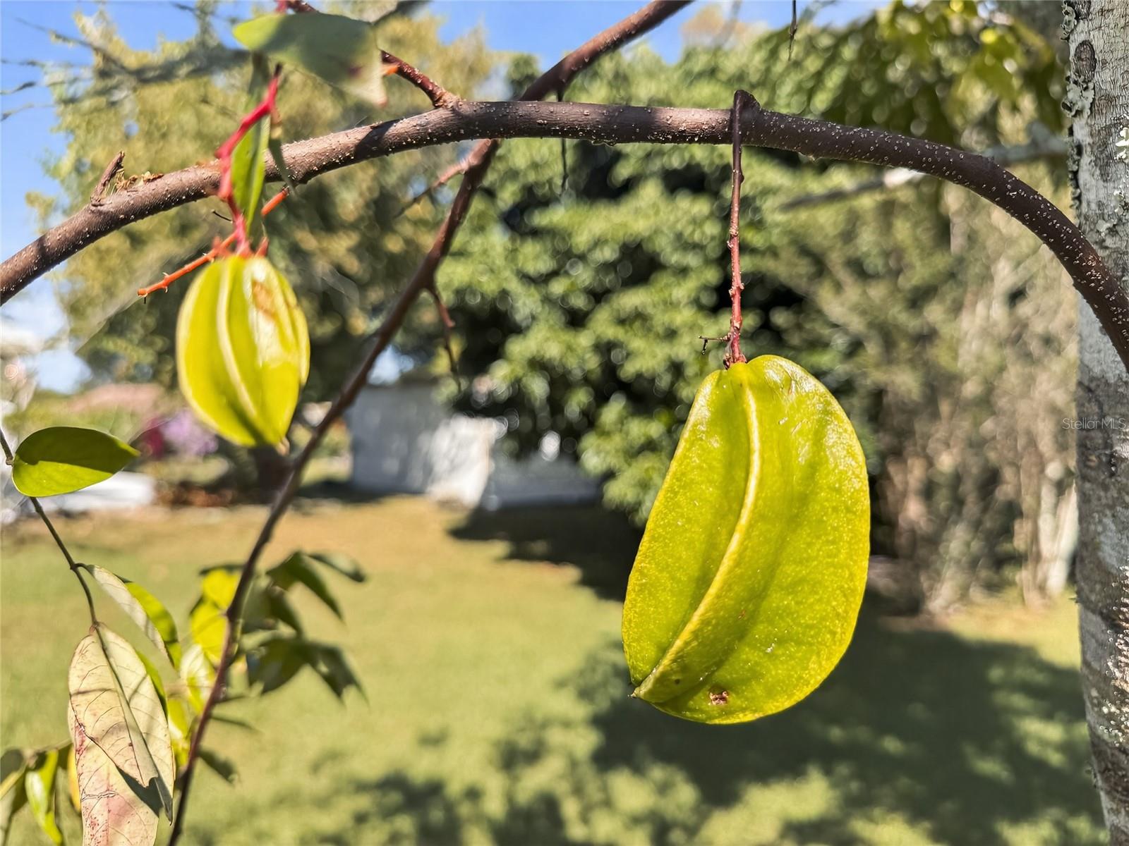 3729 CAPETOWN DR, ORLANDO, FL, 32817