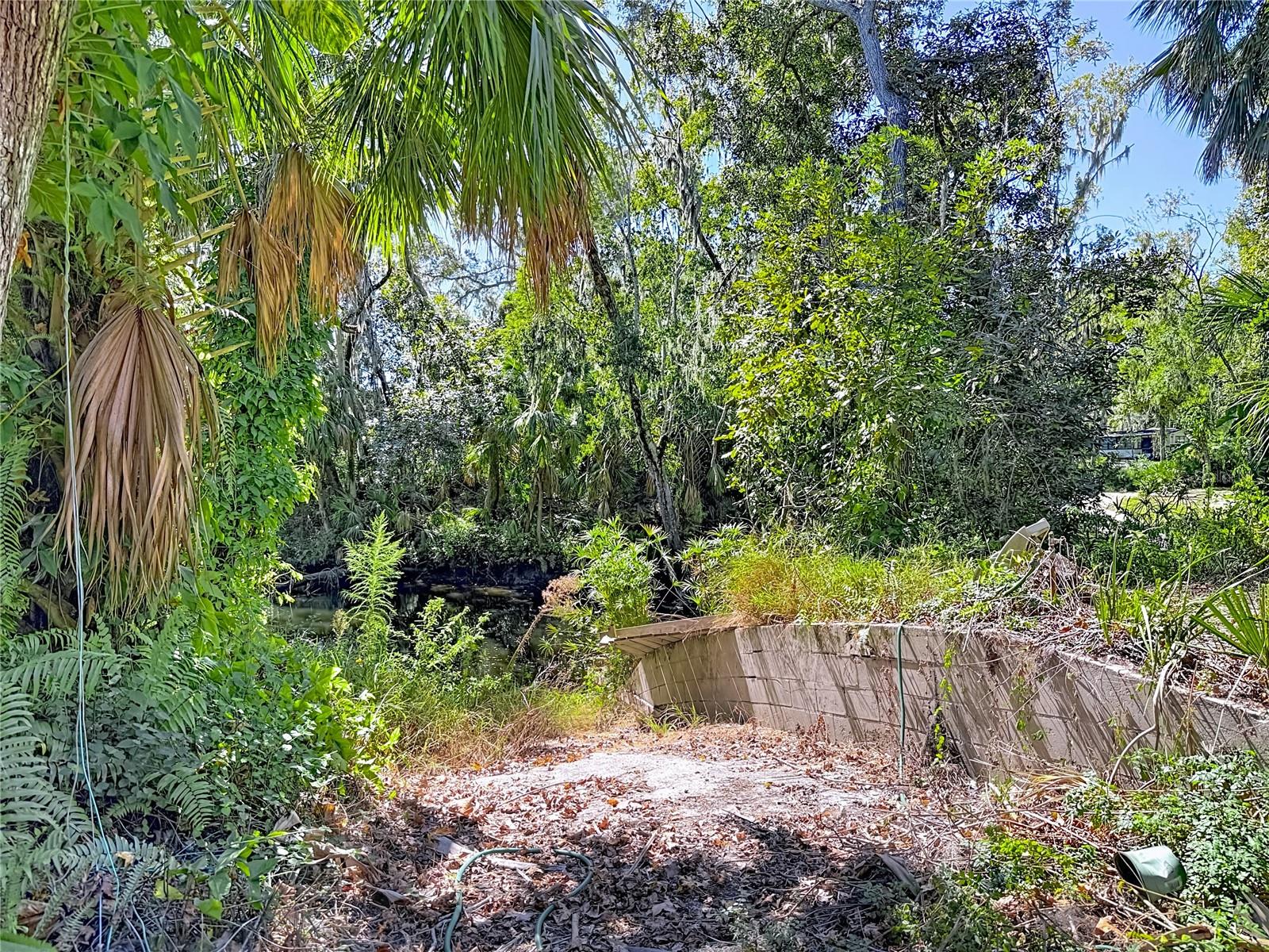 116 CURRYS LANDING TRL, BRANDON, FL, 33511