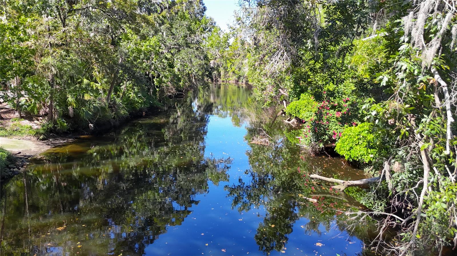 116 CURRYS LANDING TRL, BRANDON, FL, 33511