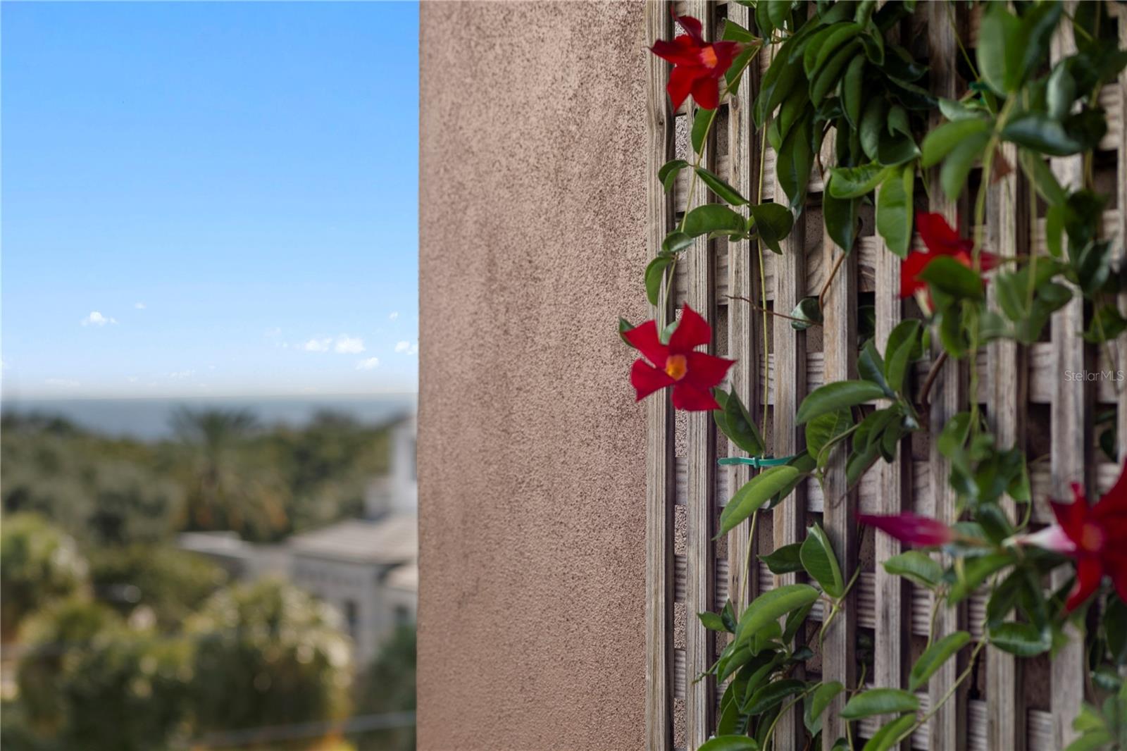 153 5TH AVE NE, ST PETERSBURG, FL, 33701