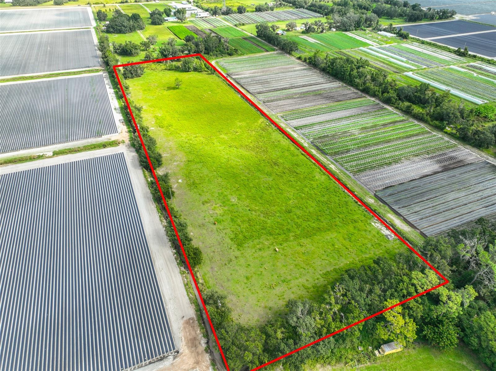 8711 STATE RD 674, WIMAUMA, FL, 33598