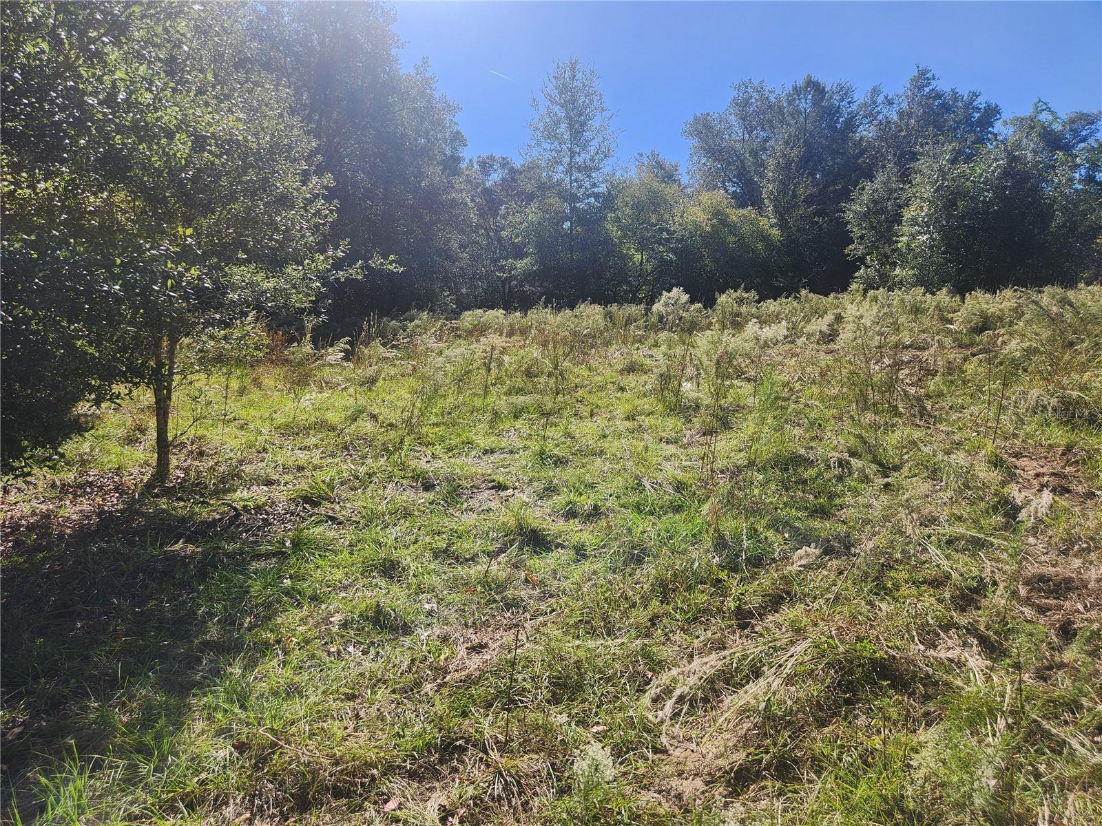 2307 GARFIELD ST, INVERNESS, FL, 34453