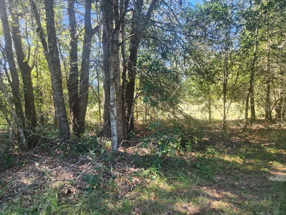 2307 GARFIELD ST, INVERNESS, FL, 34453