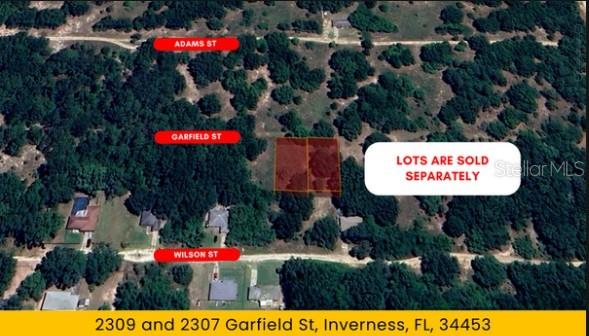 2307 GARFIELD ST, INVERNESS, FL, 34453