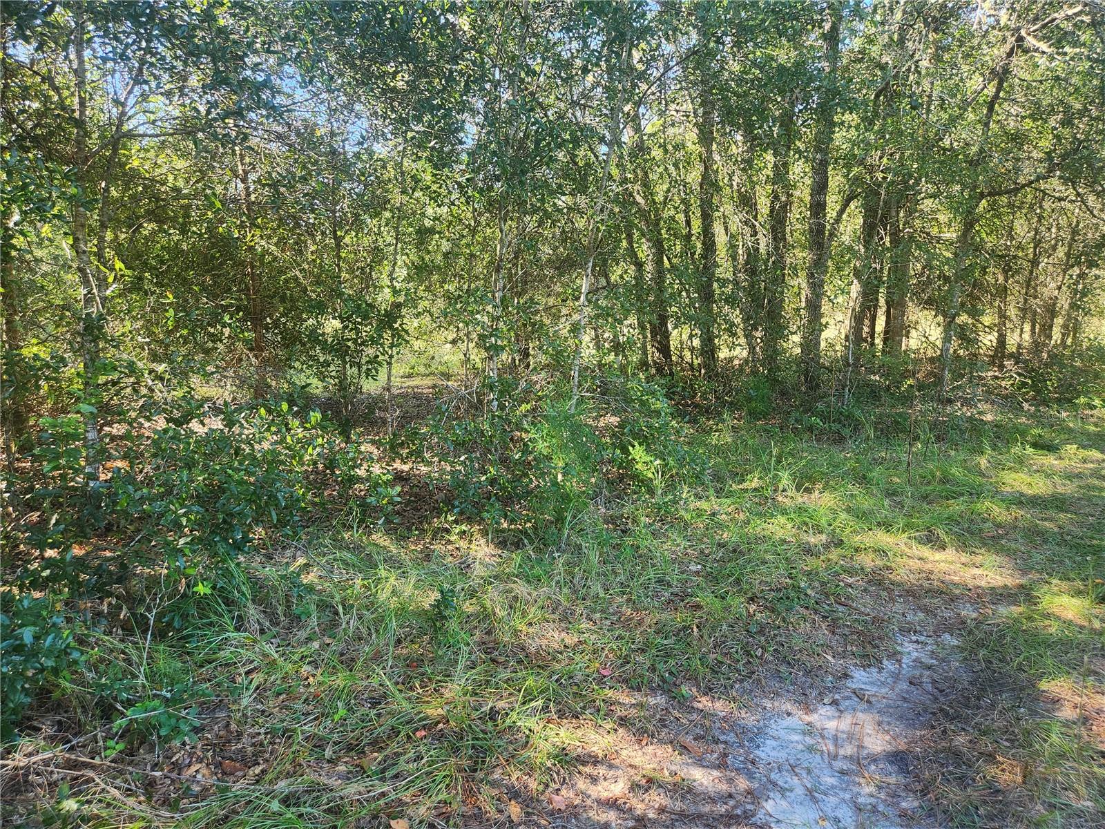 2307 GARFIELD ST, INVERNESS, FL, 34453