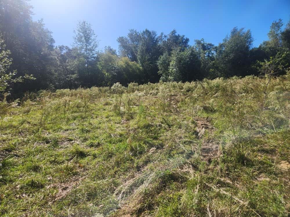 2307 GARFIELD ST, INVERNESS, FL, 34453