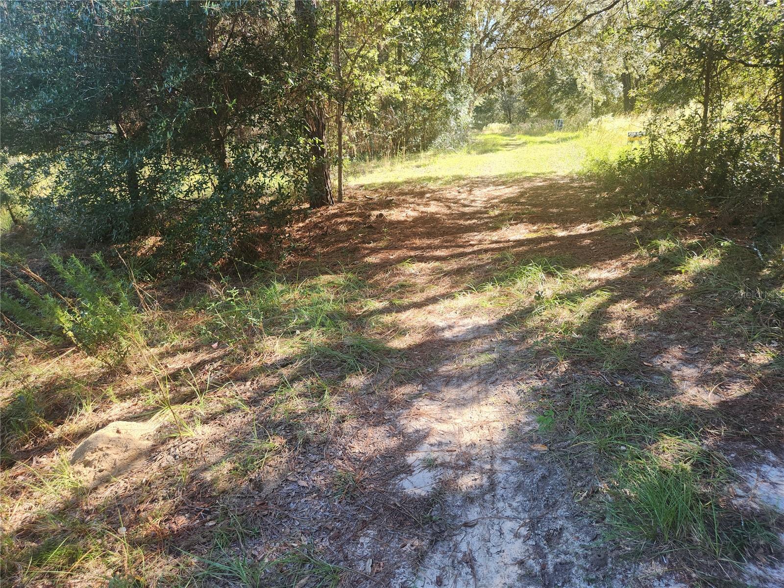 2307 GARFIELD ST, INVERNESS, FL, 34453