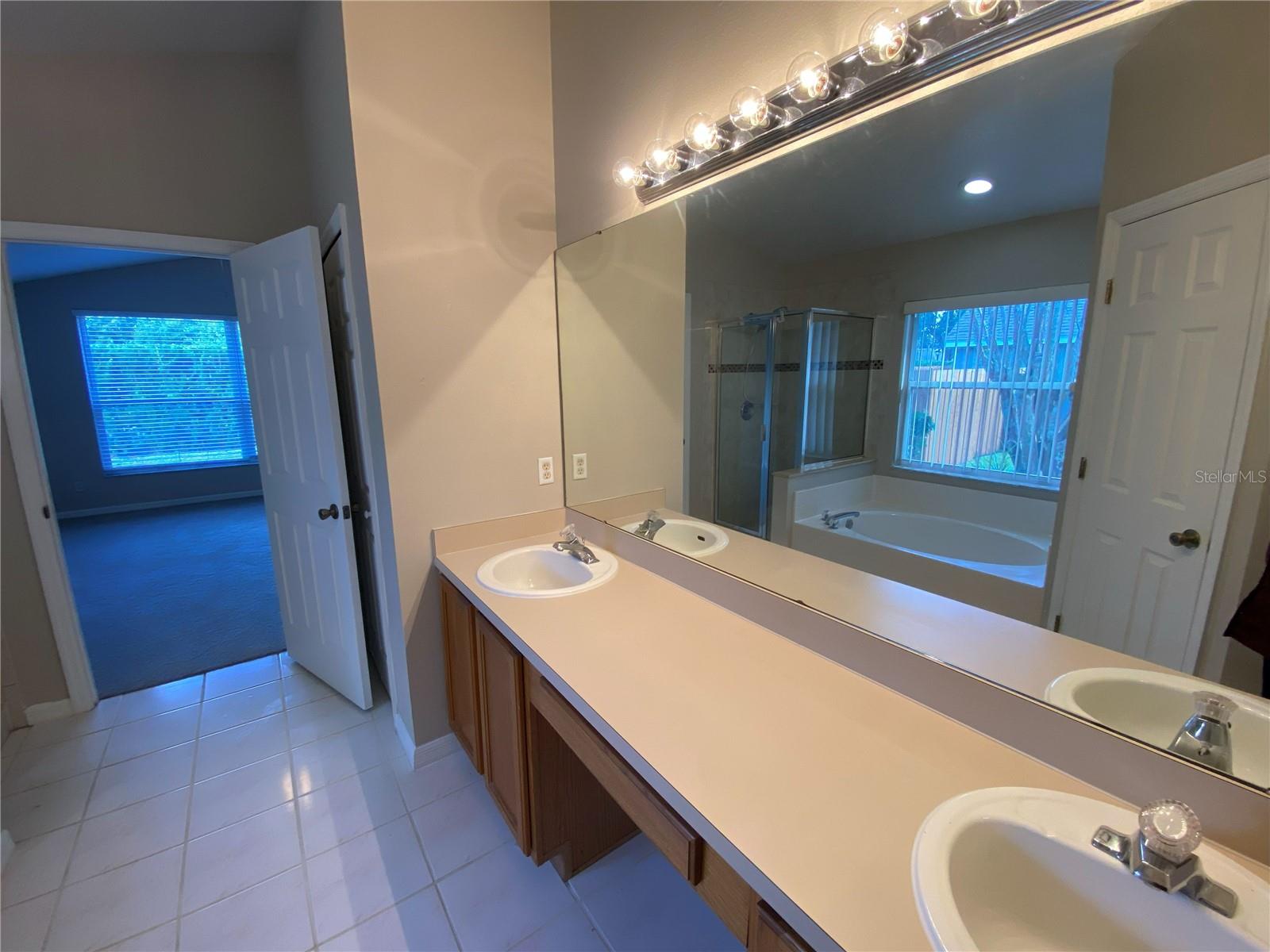 13833 RIVERPATH GROVE DR, ORLANDO, FL, 32826