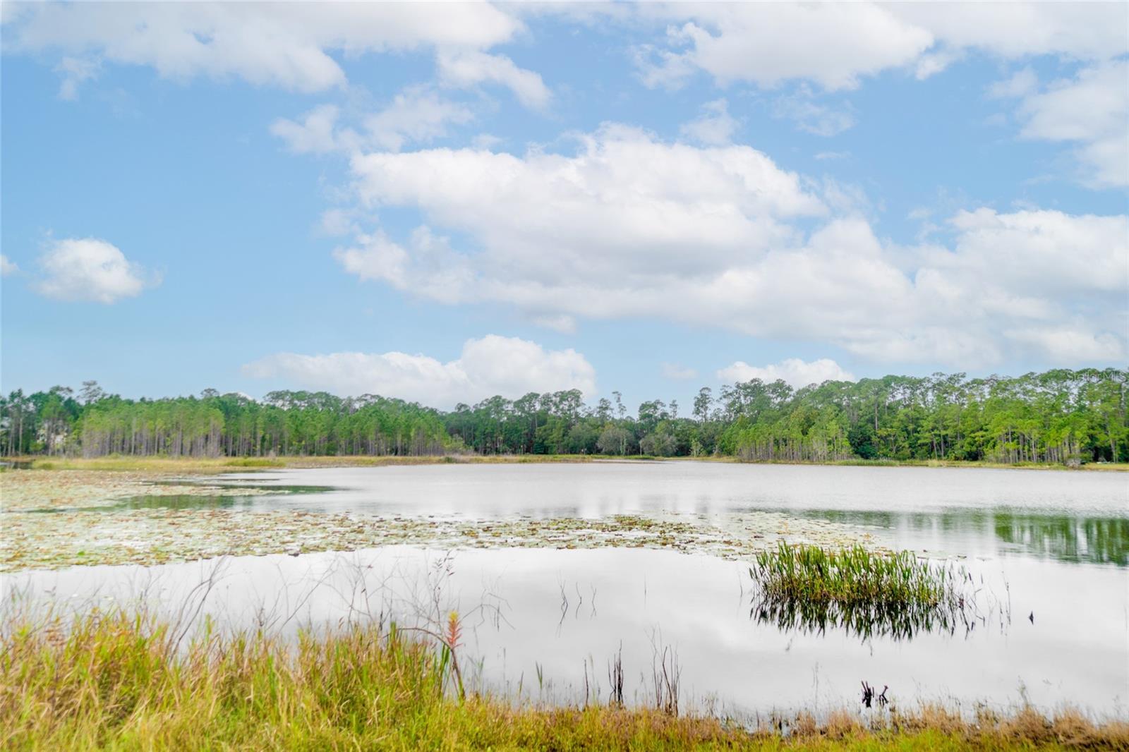 2912 WOODLANDS PARK CT, LAKE MARY, FL, 32746