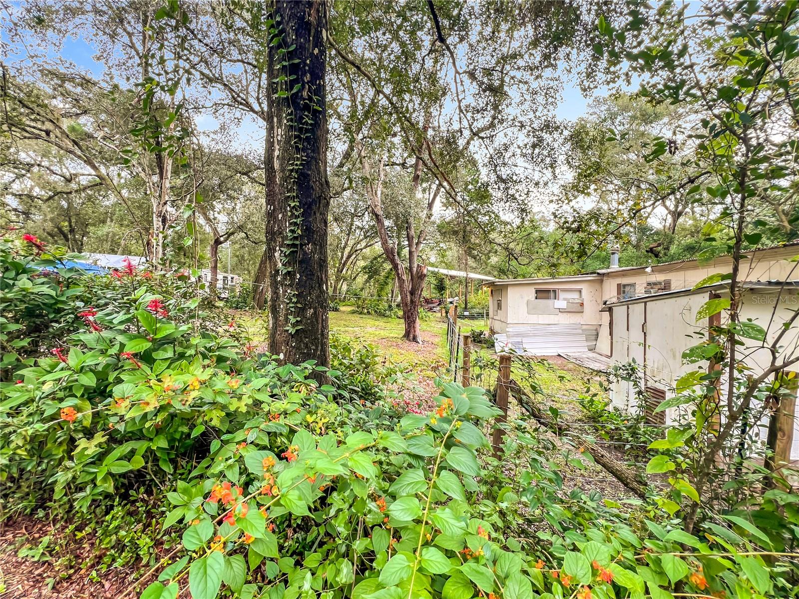 44748 BALDPATE RD, ALTOONA, FL, 32702