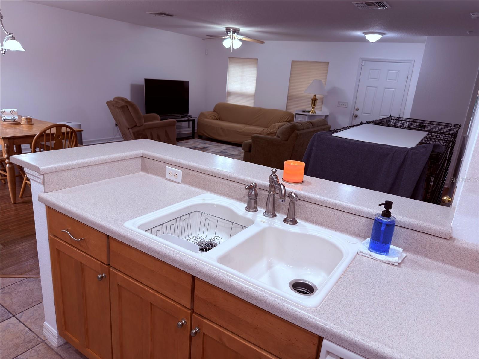 13879 GOLDEN RUSSET DR, WINTER GARDEN, FL, 34787