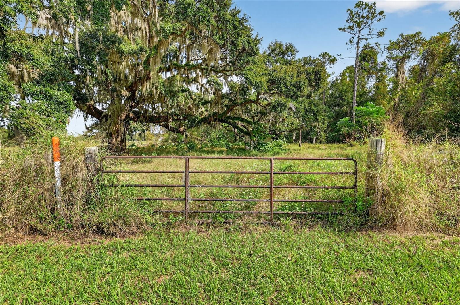 32742 WHITNEY RD, LEESBURG, FL, 34748