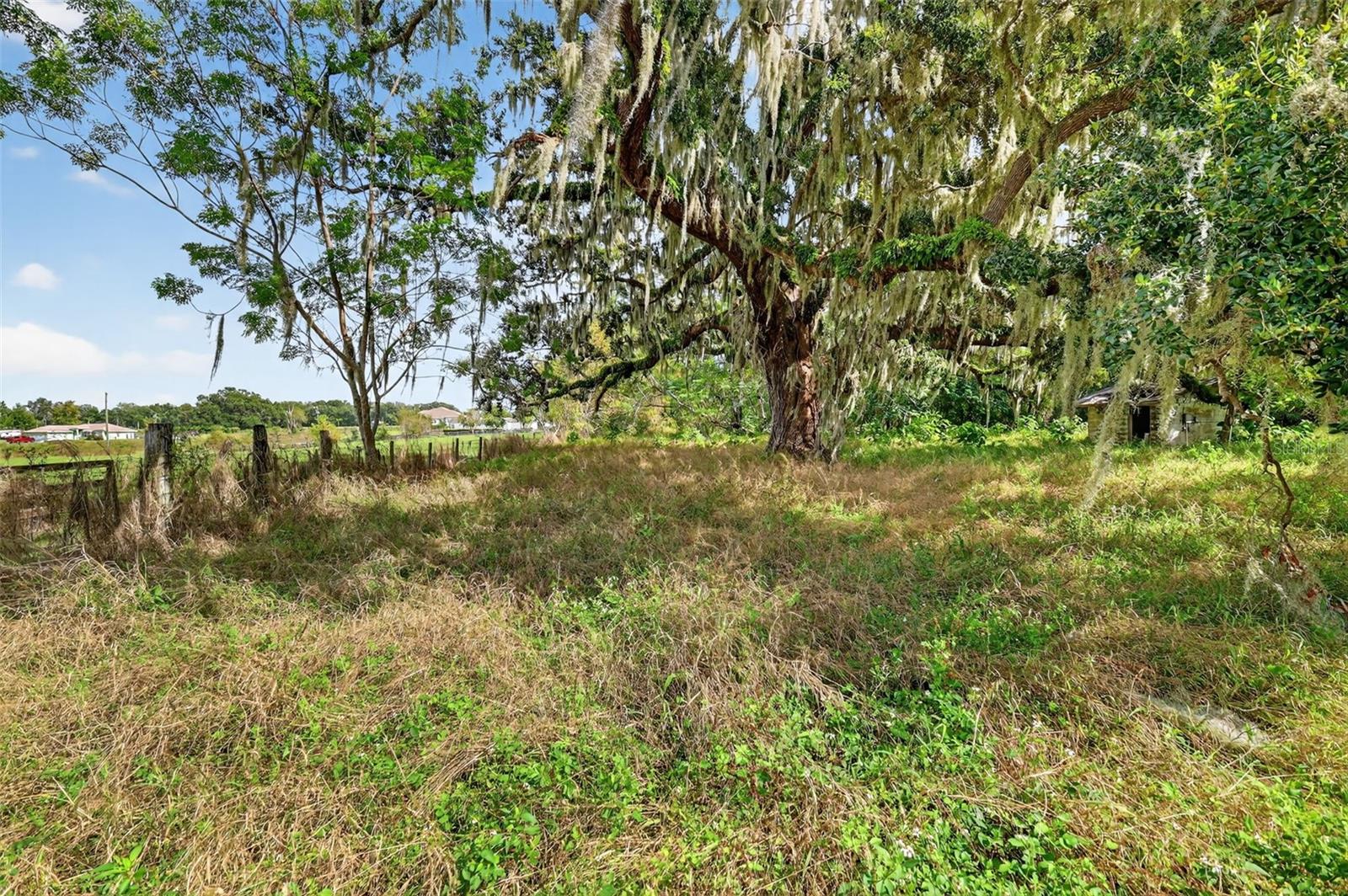 32742 WHITNEY RD, LEESBURG, FL, 34748