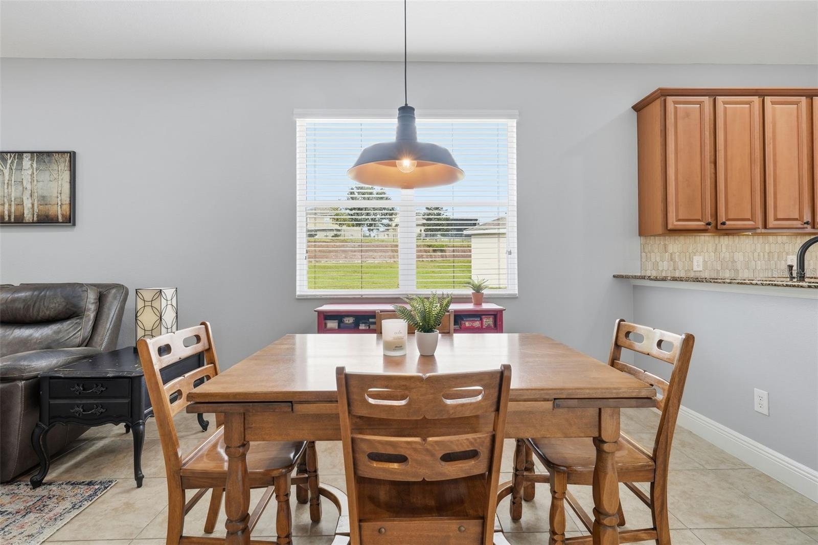 4850 ROYCE DR, MOUNT DORA, FL, 32757