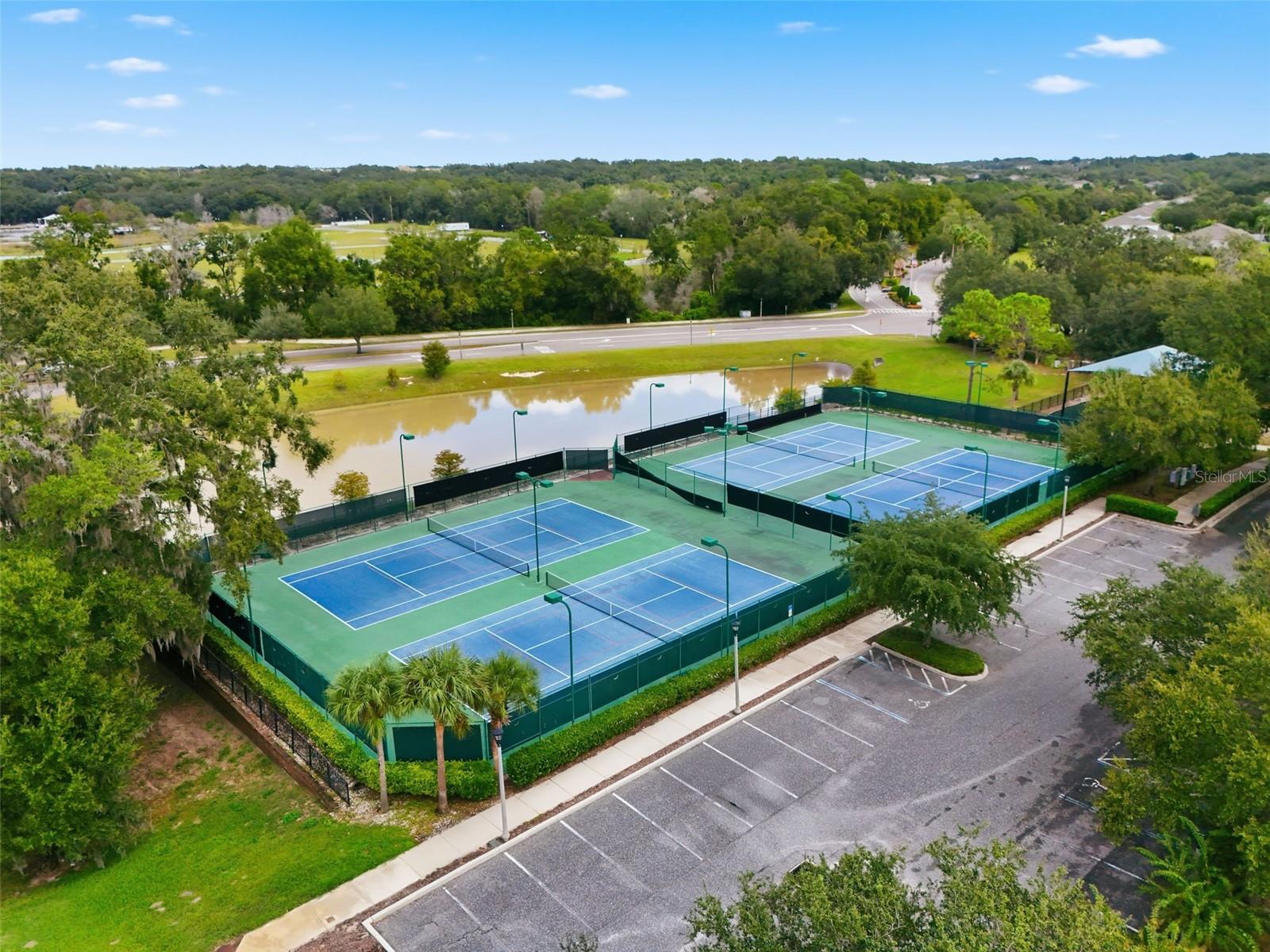 4850 ROYCE DR, MOUNT DORA, FL, 32757