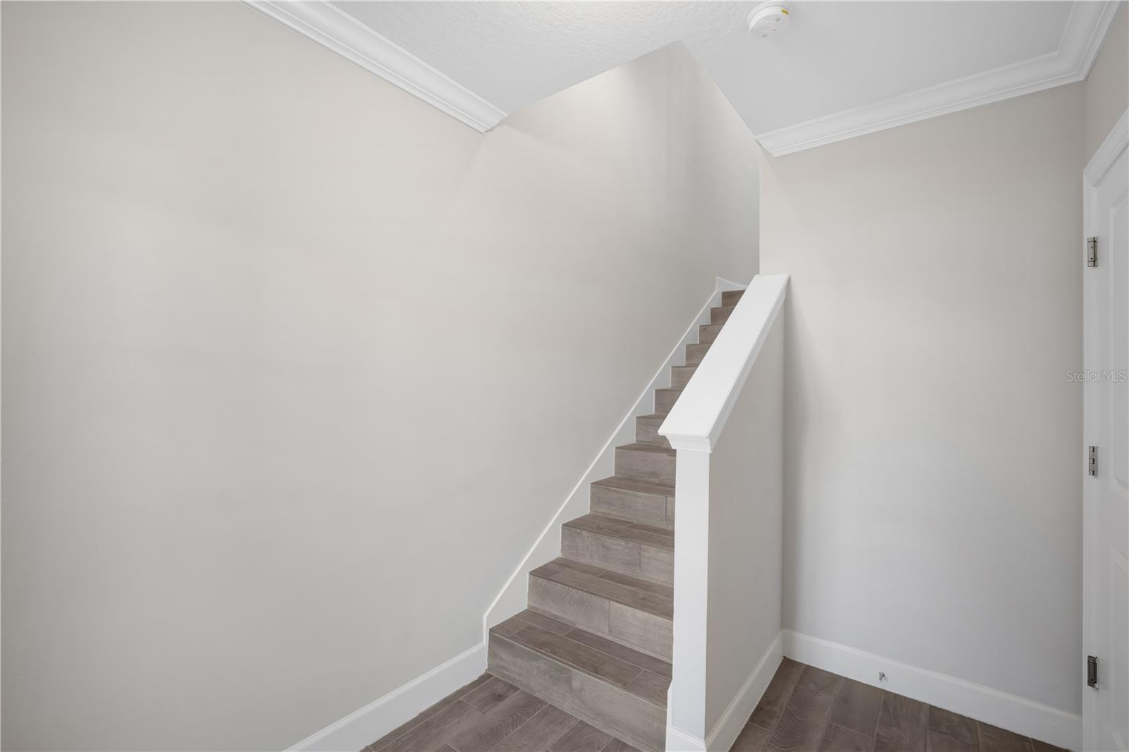 4055 ROCKY SHORES DR, TAMPA, FL, 33634