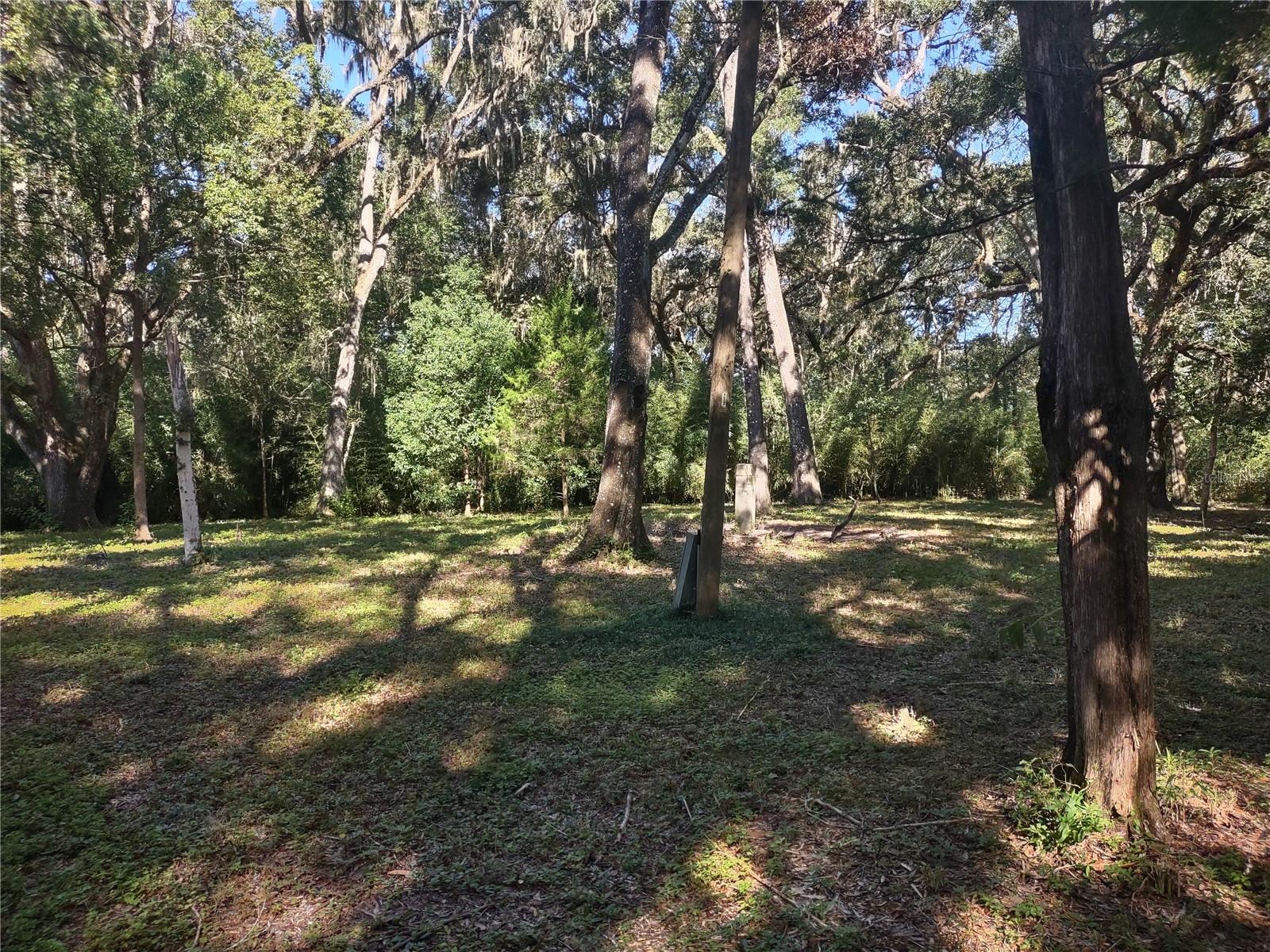 1590 SE 182ND TER, WILLISTON, FL, 32696