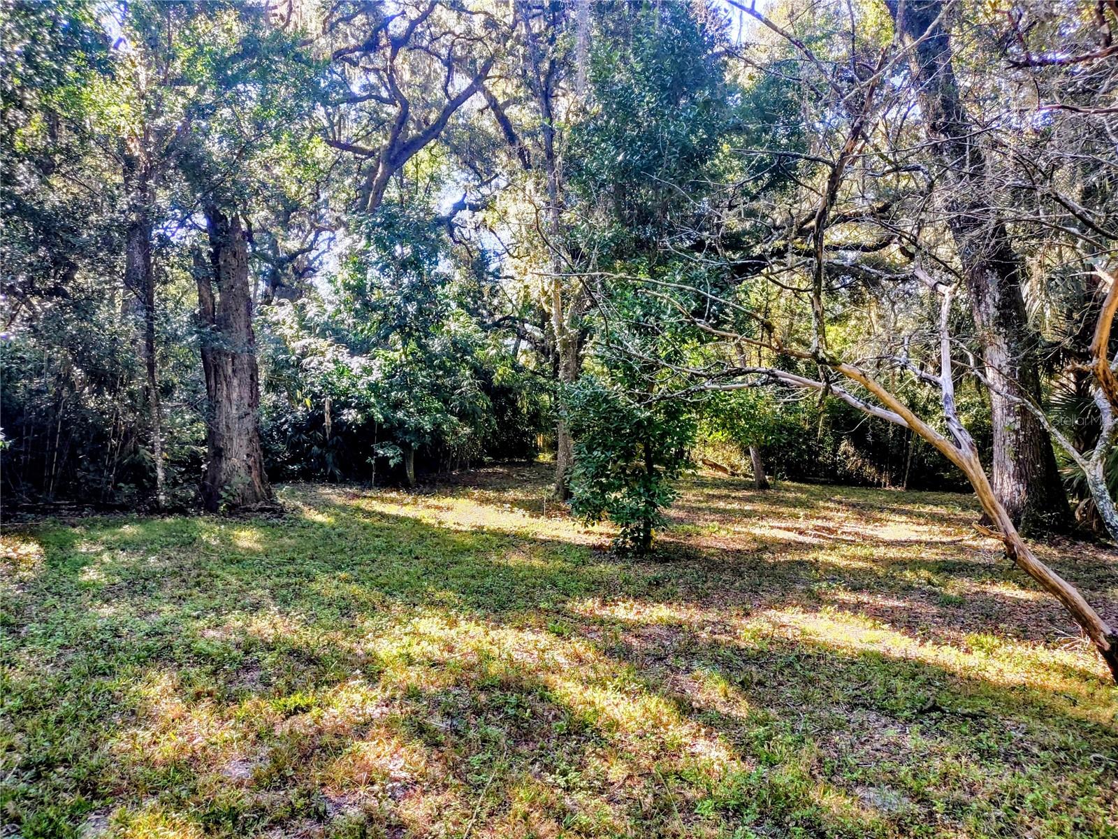 1590 SE 182ND TER, WILLISTON, FL, 32696