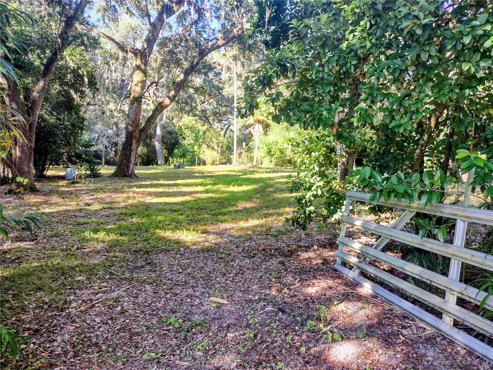 1590 SE 182ND TER, WILLISTON, FL, 32696