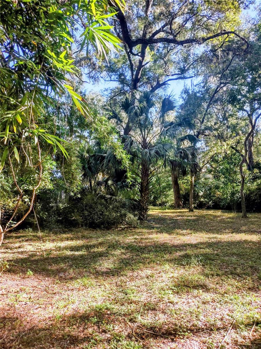 1590 SE 182ND TER, WILLISTON, FL, 32696