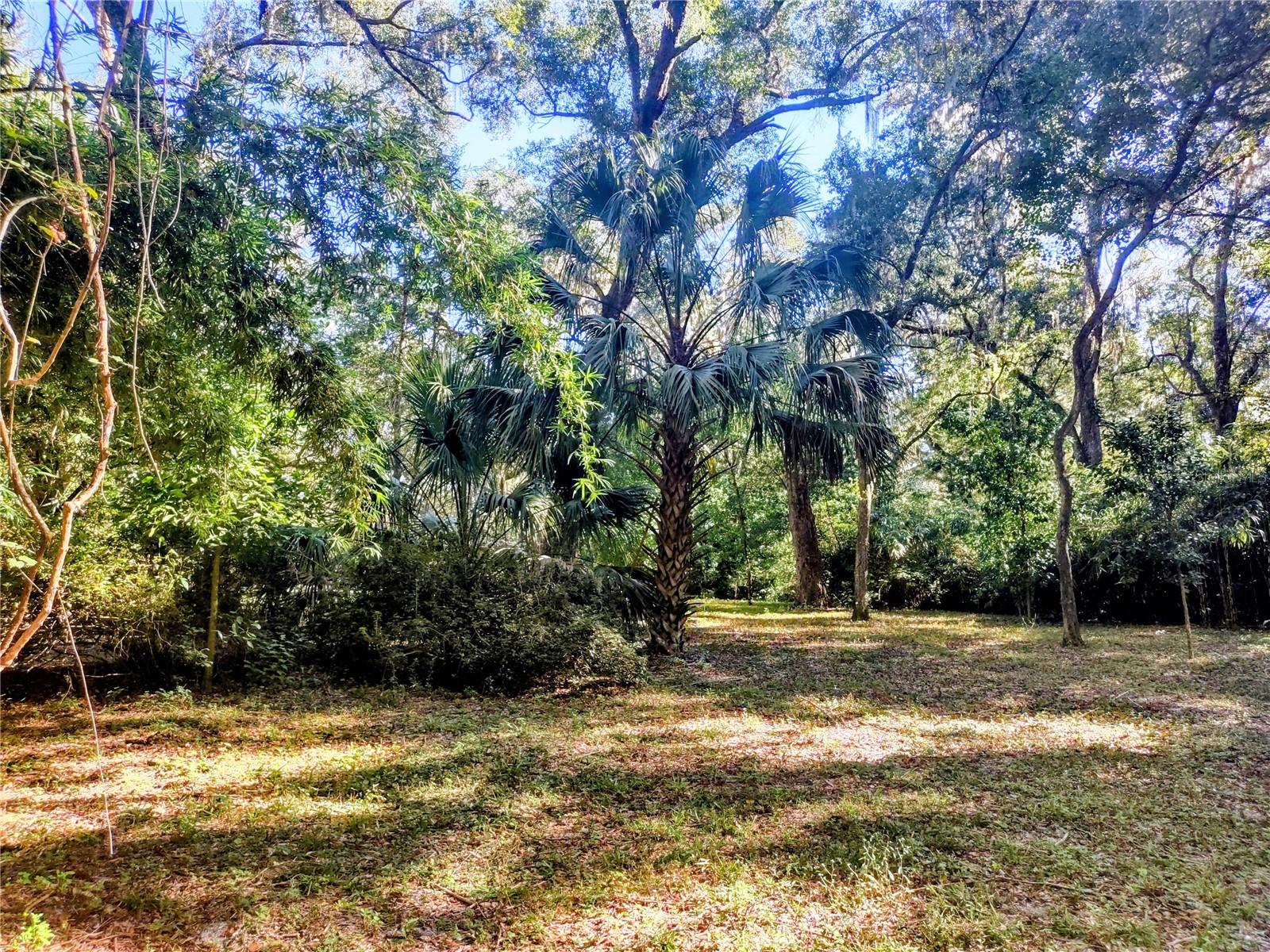 1590 SE 182ND TER, WILLISTON, FL, 32696