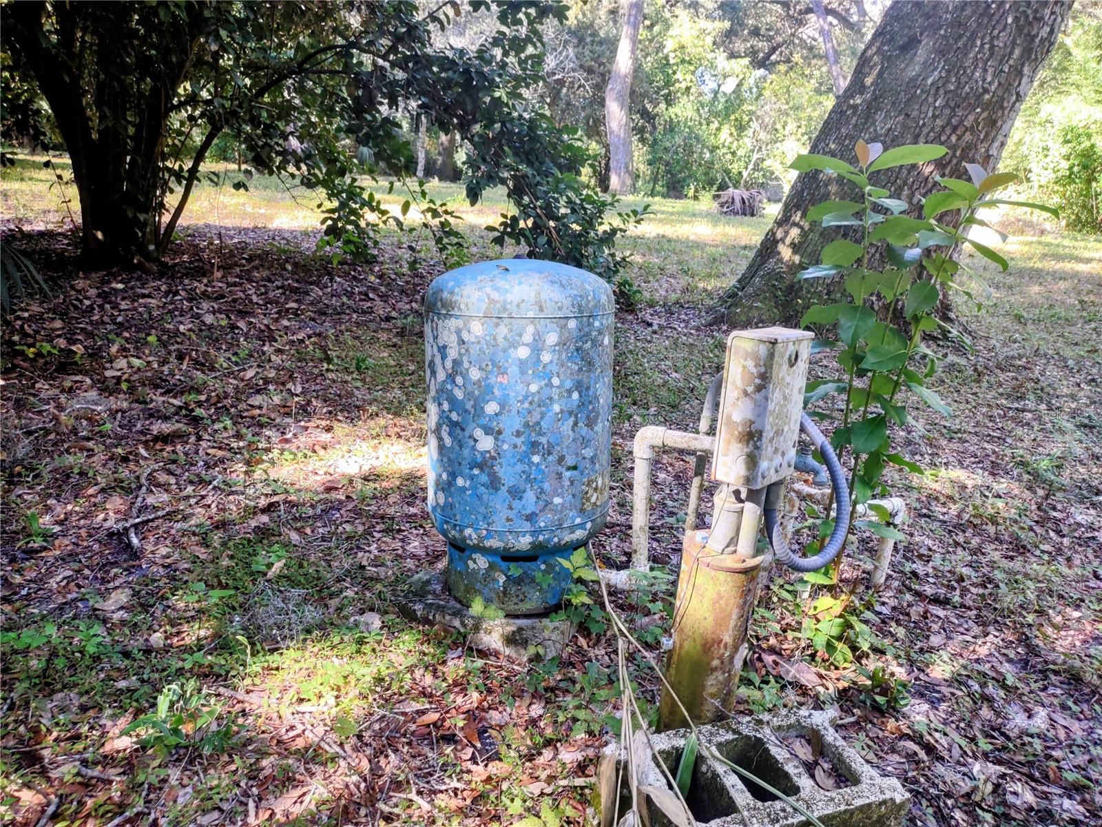 1590 SE 182ND TER, WILLISTON, FL, 32696