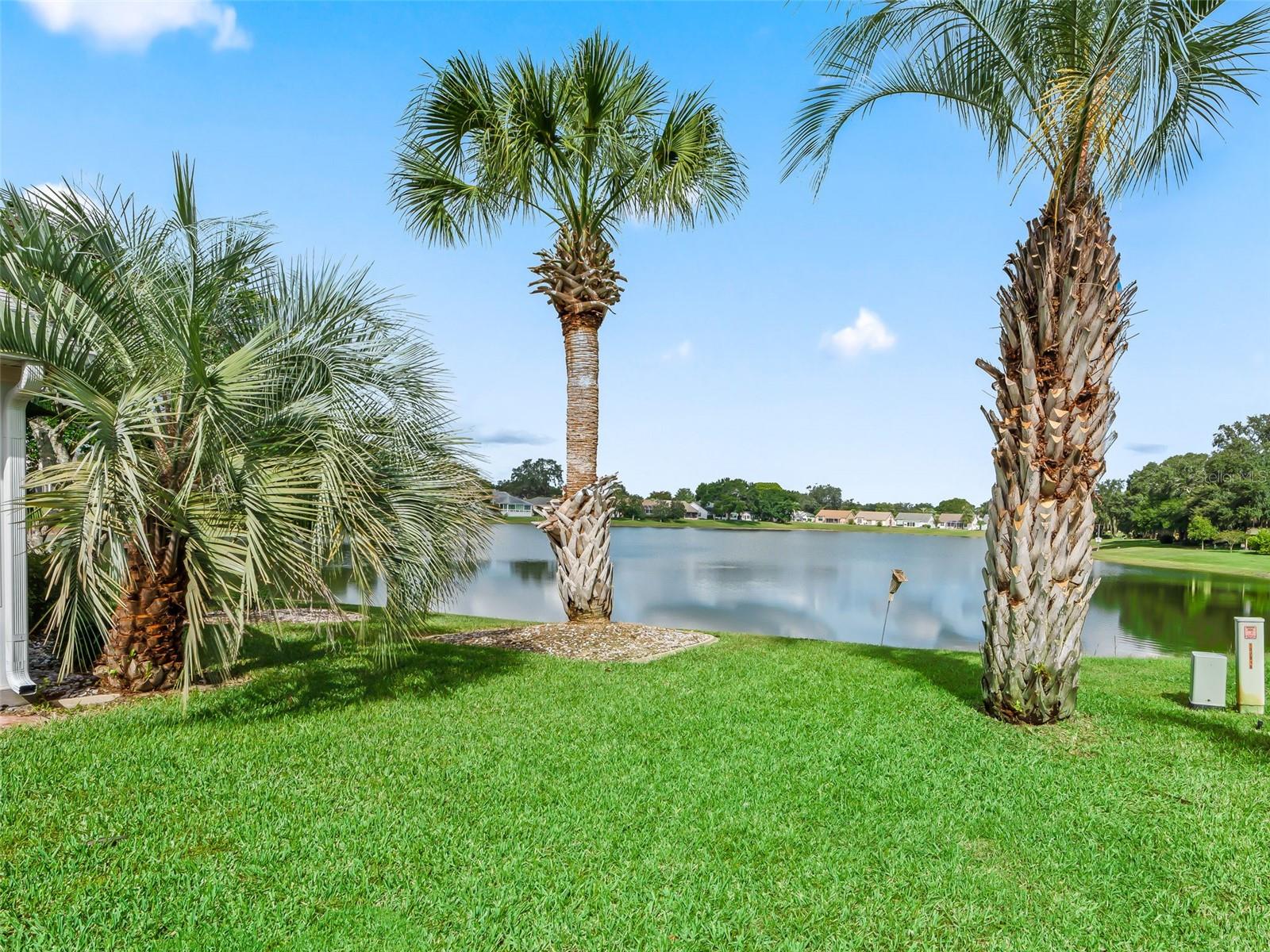 1013 DEL RIO DR, LADY LAKE, FL, 32159