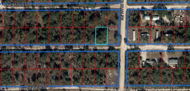 NE 64TH PLACE, WILLISTON, FL, 32696