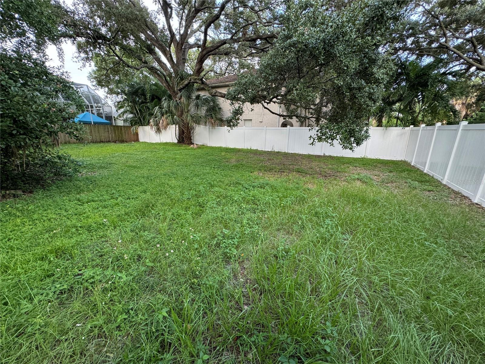 3115 W SAN PEDRO ST, TAMPA, FL, 33629