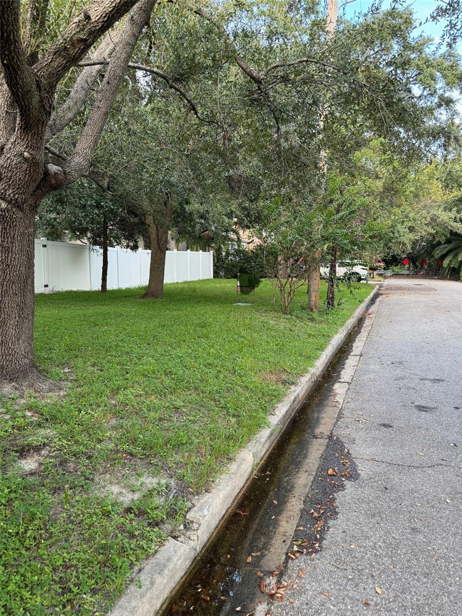 3115 W SAN PEDRO ST, TAMPA, FL, 33629