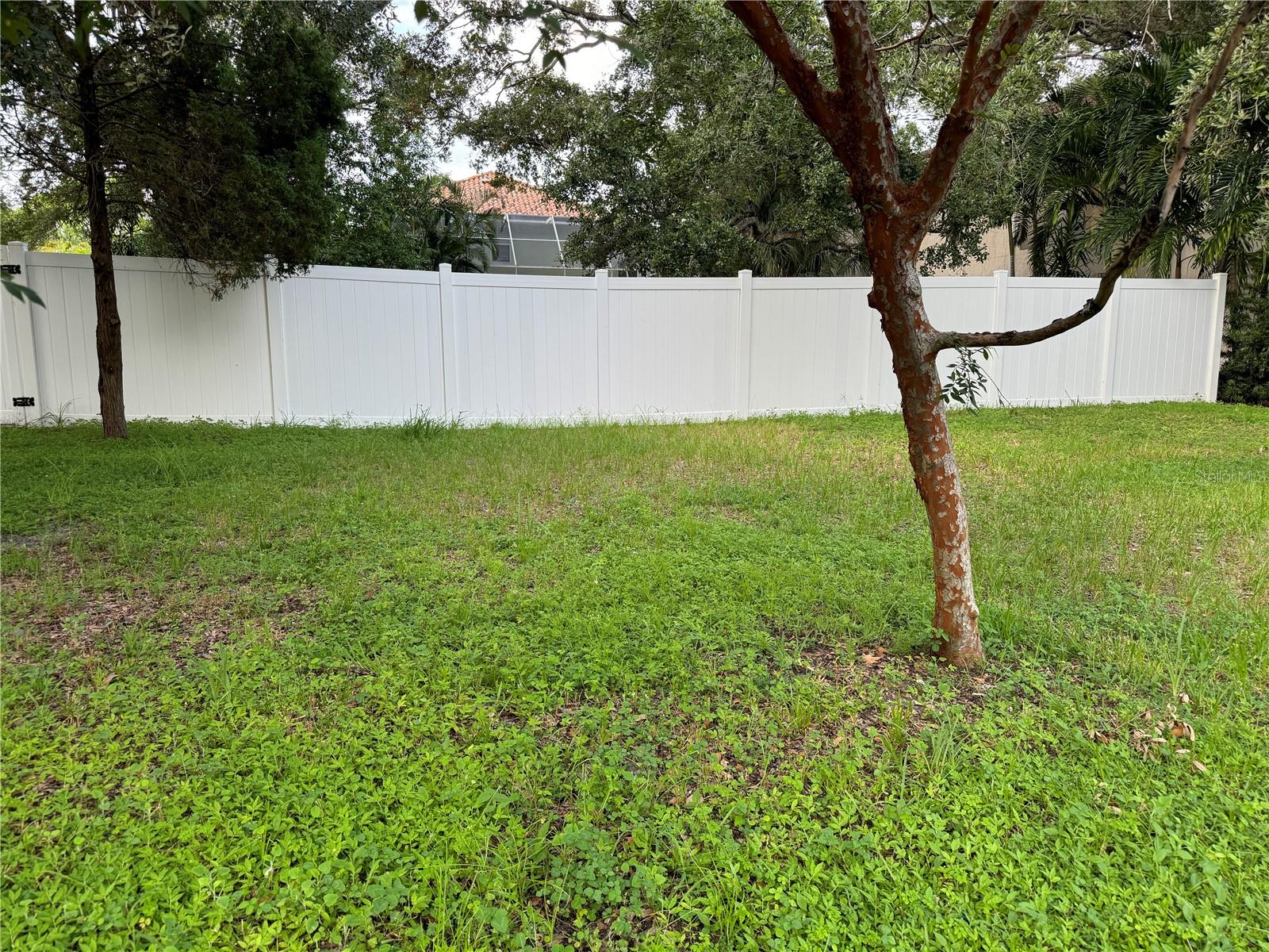 3115 W SAN PEDRO ST, TAMPA, FL, 33629