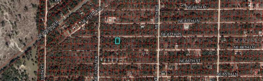 NE 67TH PLACE #5, WILLISTON, FL, 32696