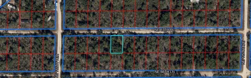 NE 67TH PLACE #5, WILLISTON, FL, 32696