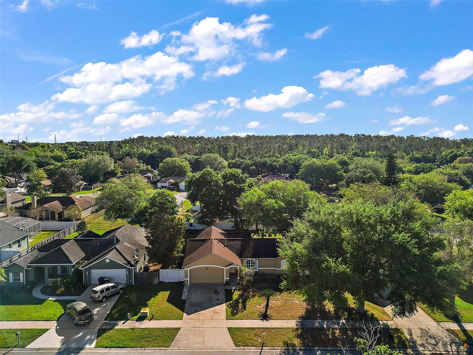 1020 HIGH RIDGE CT, MINNEOLA, FL, 34715