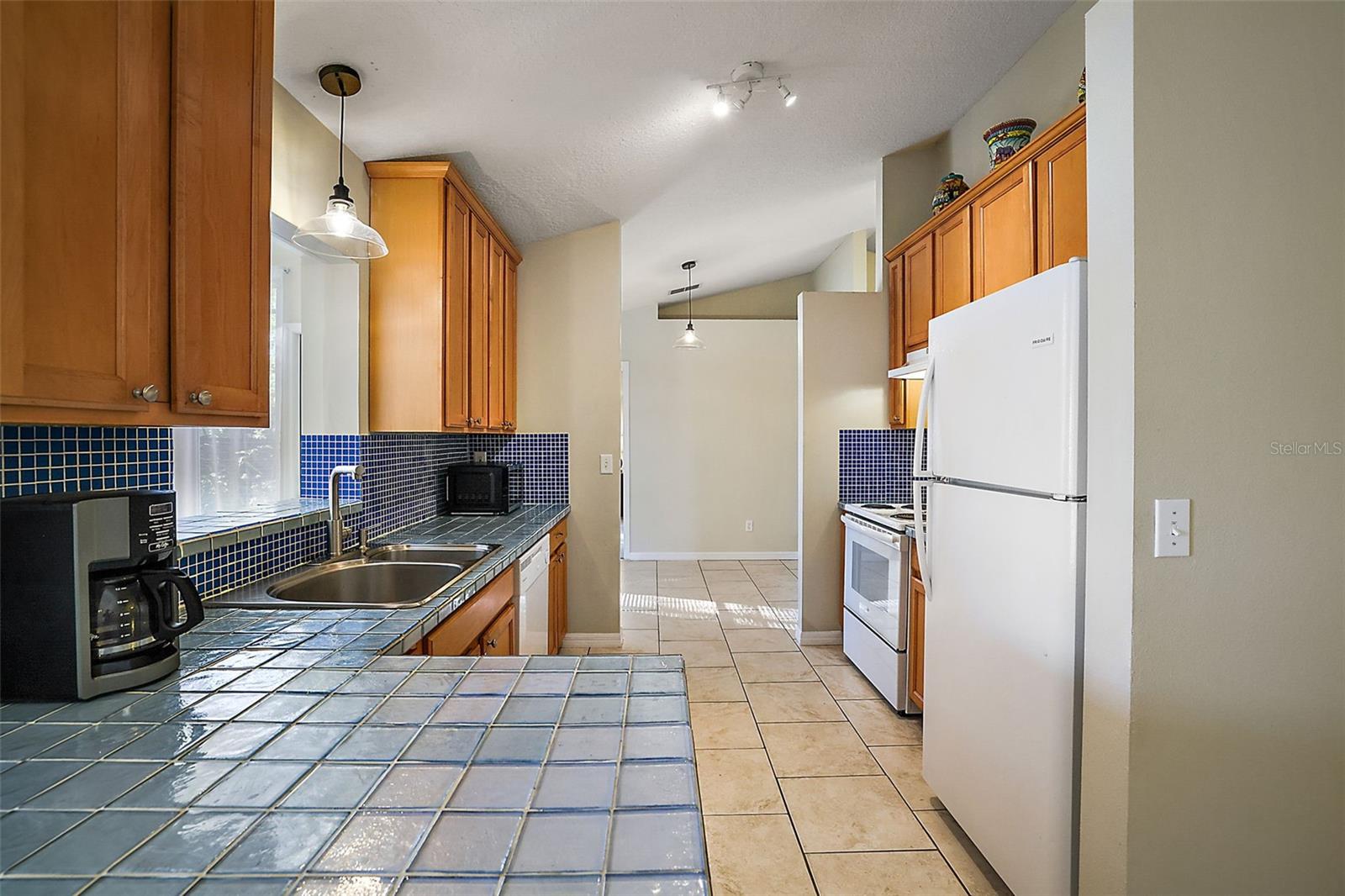 1020 HIGH RIDGE CT, MINNEOLA, FL, 34715