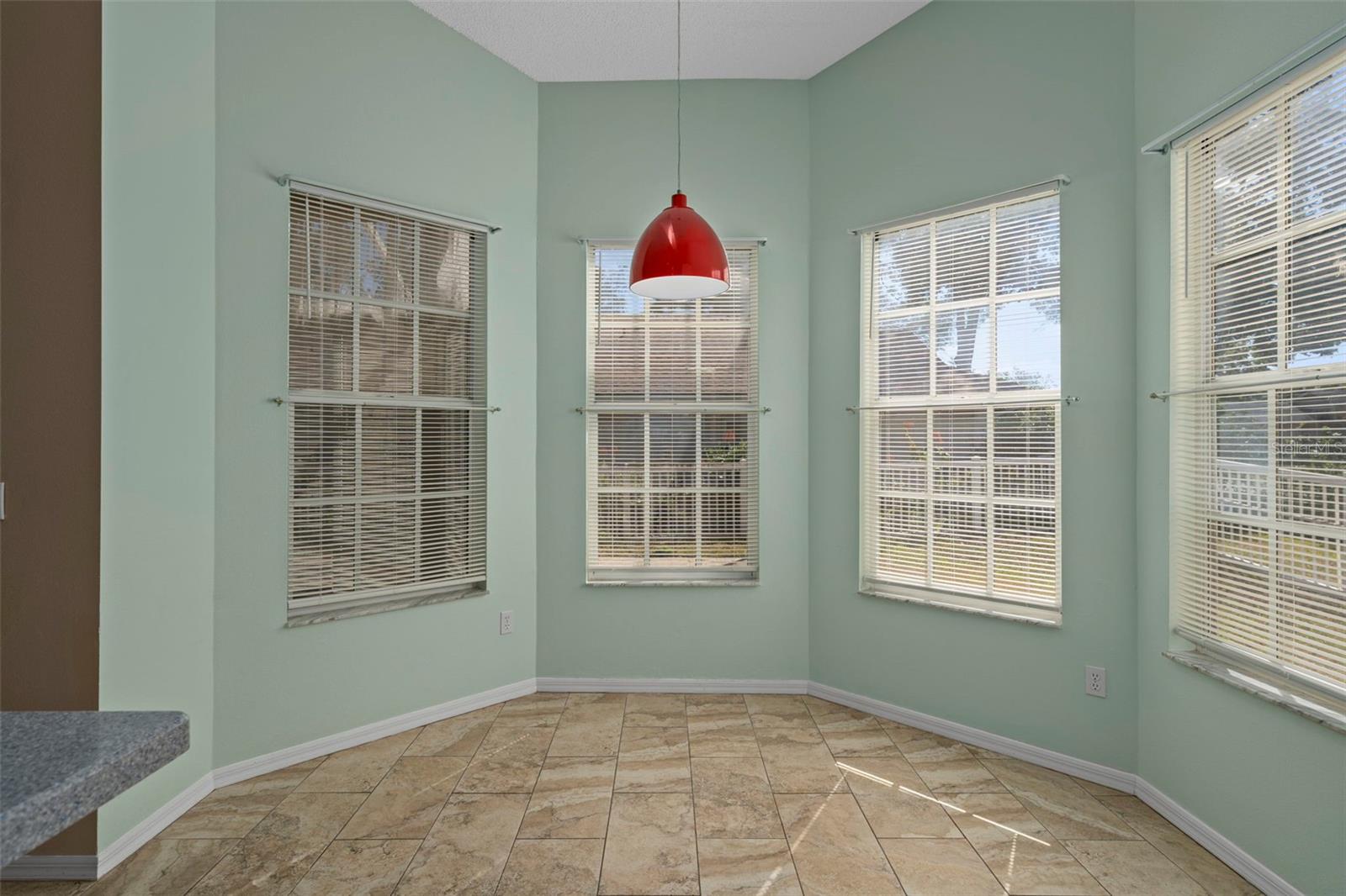 7304 CONE SHELL DR, SPRING HILL, FL, 34607