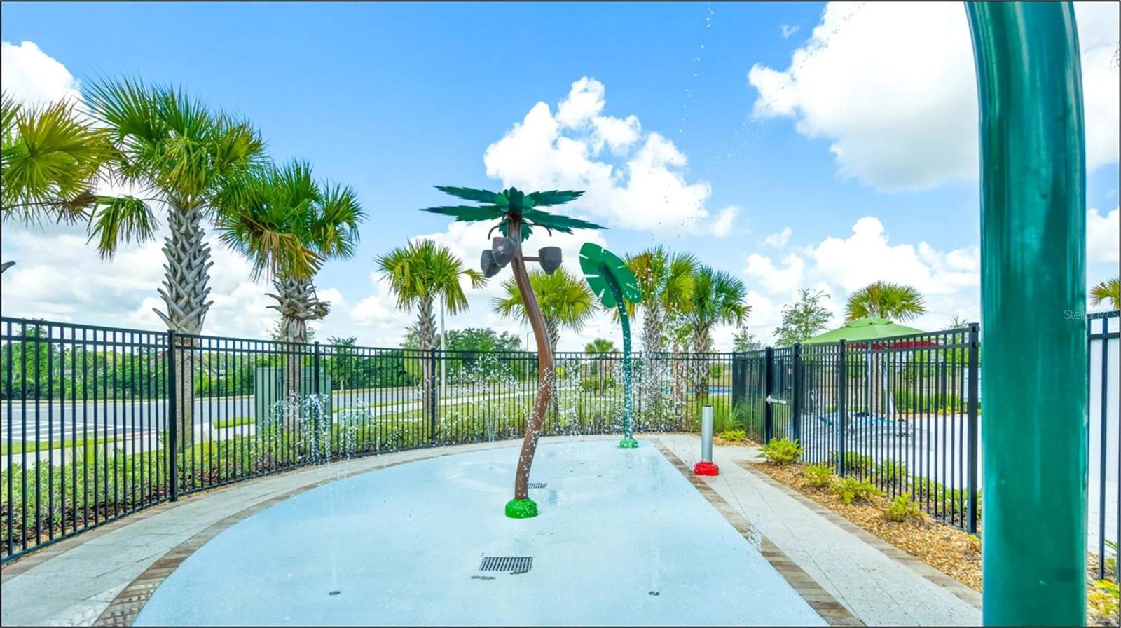 9728 NANCY DREW ALY, WINTER GARDEN, FL, 34787