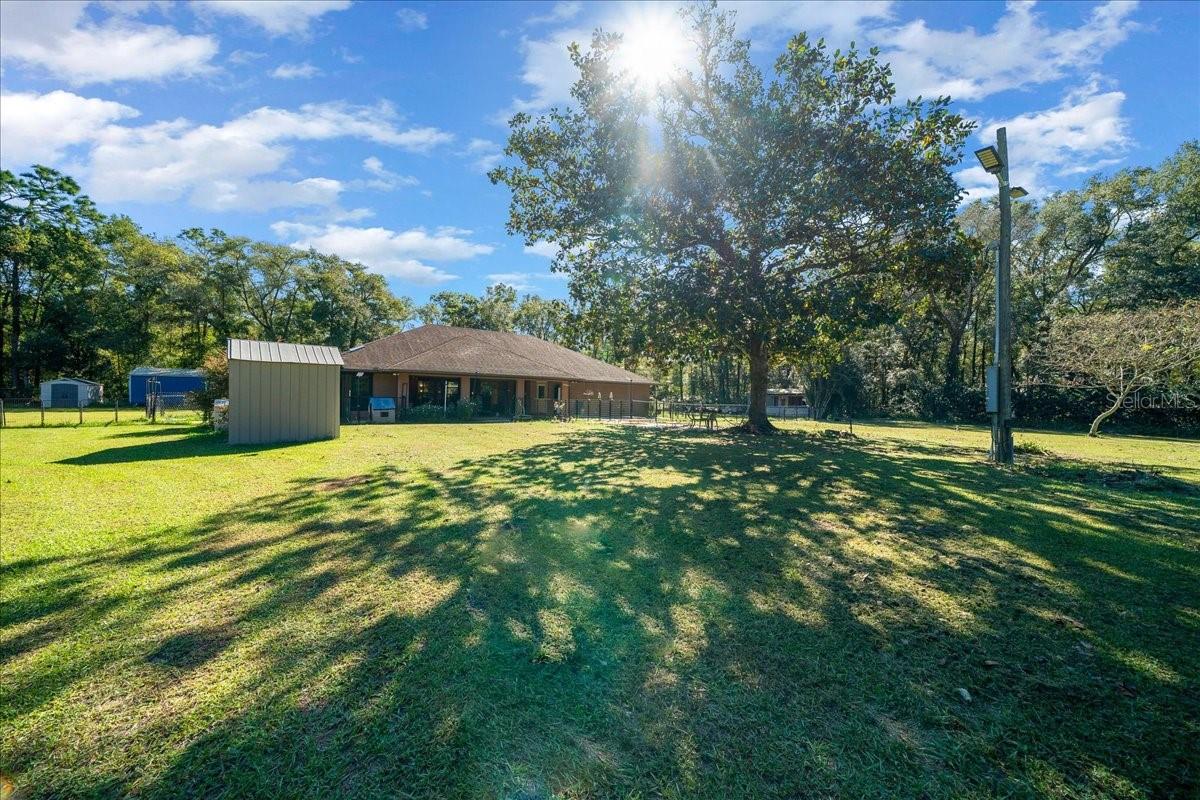 3135 NE 49TH ST, OCALA, FL, 34479