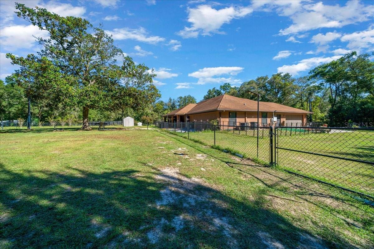 3135 NE 49TH ST, OCALA, FL, 34479