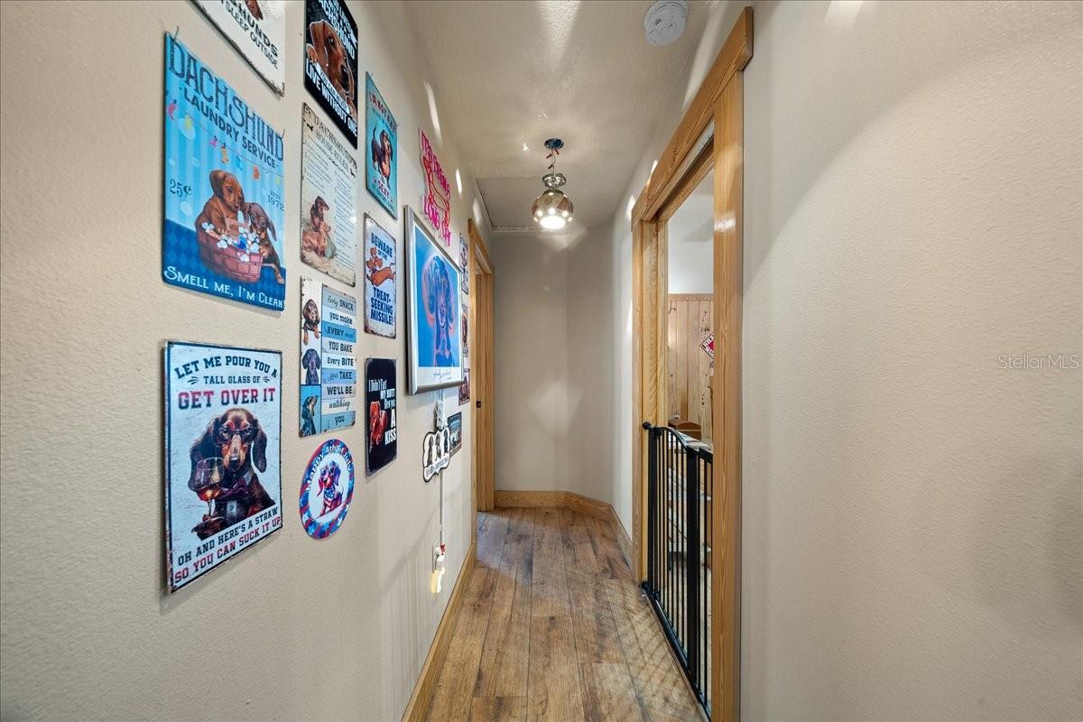 3135 NE 49TH ST, OCALA, FL, 34479