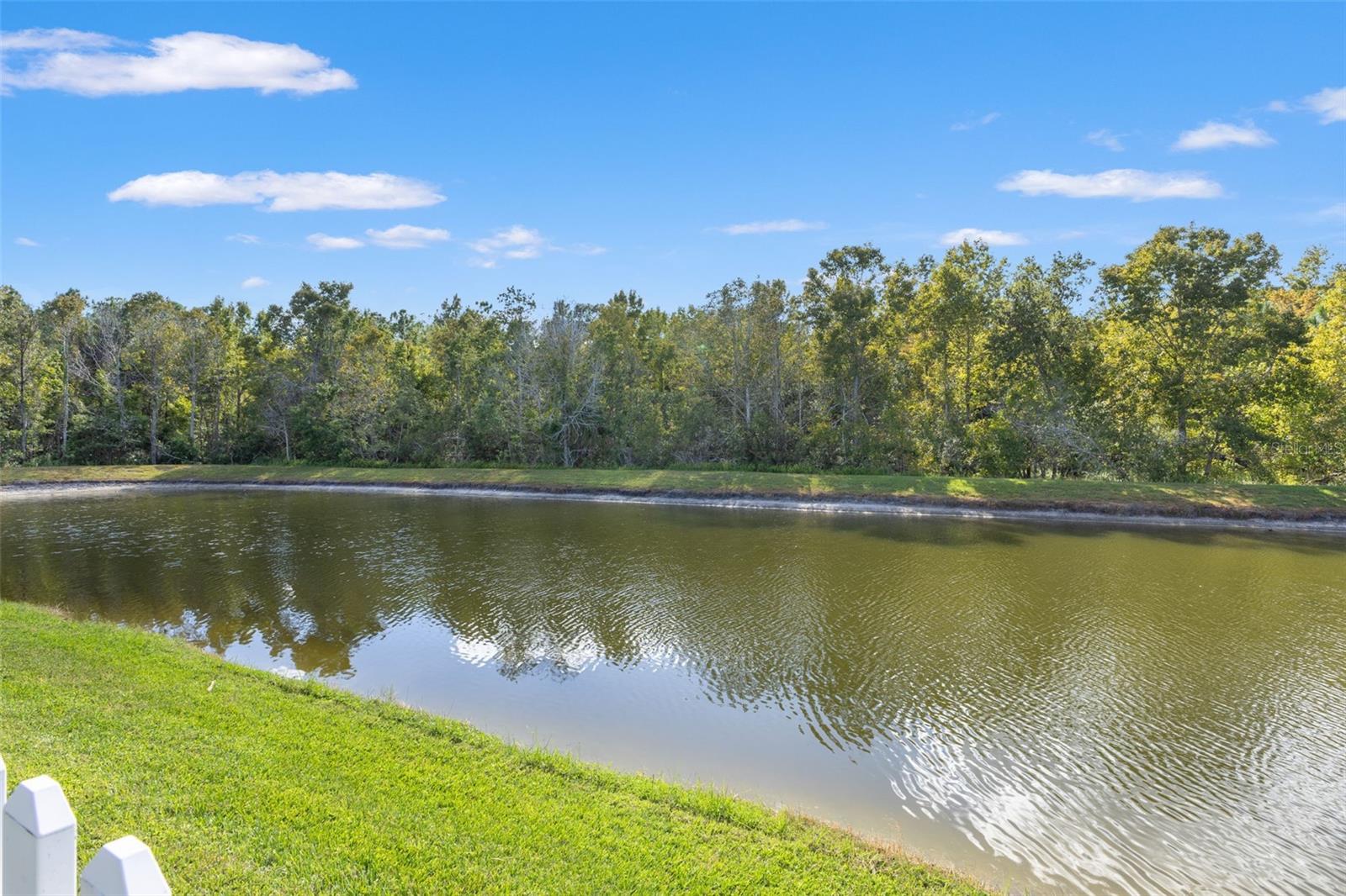 26932 SEA BREEZE WAY, WESLEY CHAPEL, FL, 33544