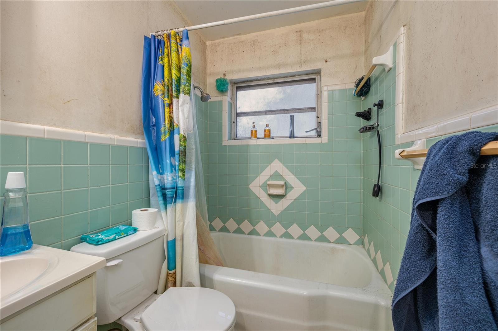 207 MOSS RD W, AUBURNDALE, FL, 33823