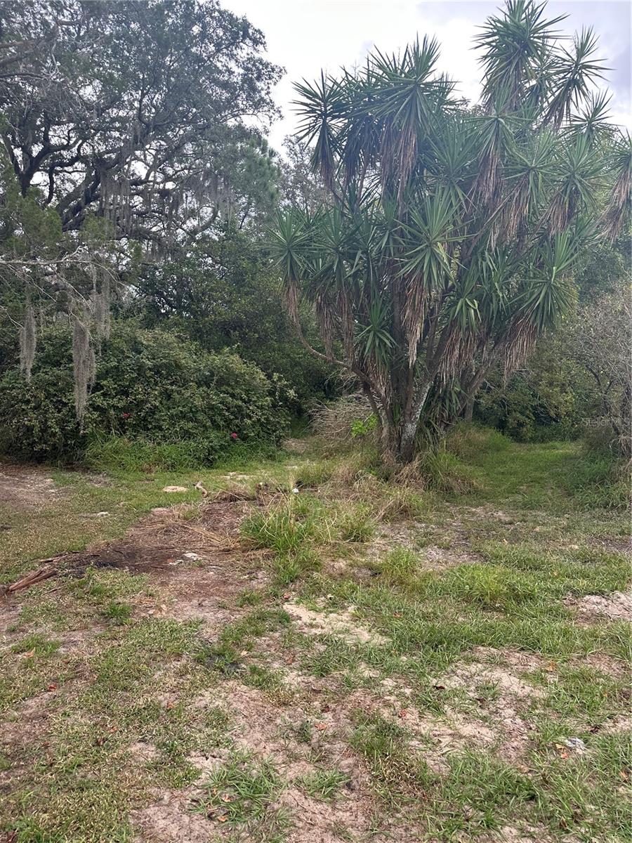 4998 LAKE LOWERY RD, HAINES CITY, FL, 33844