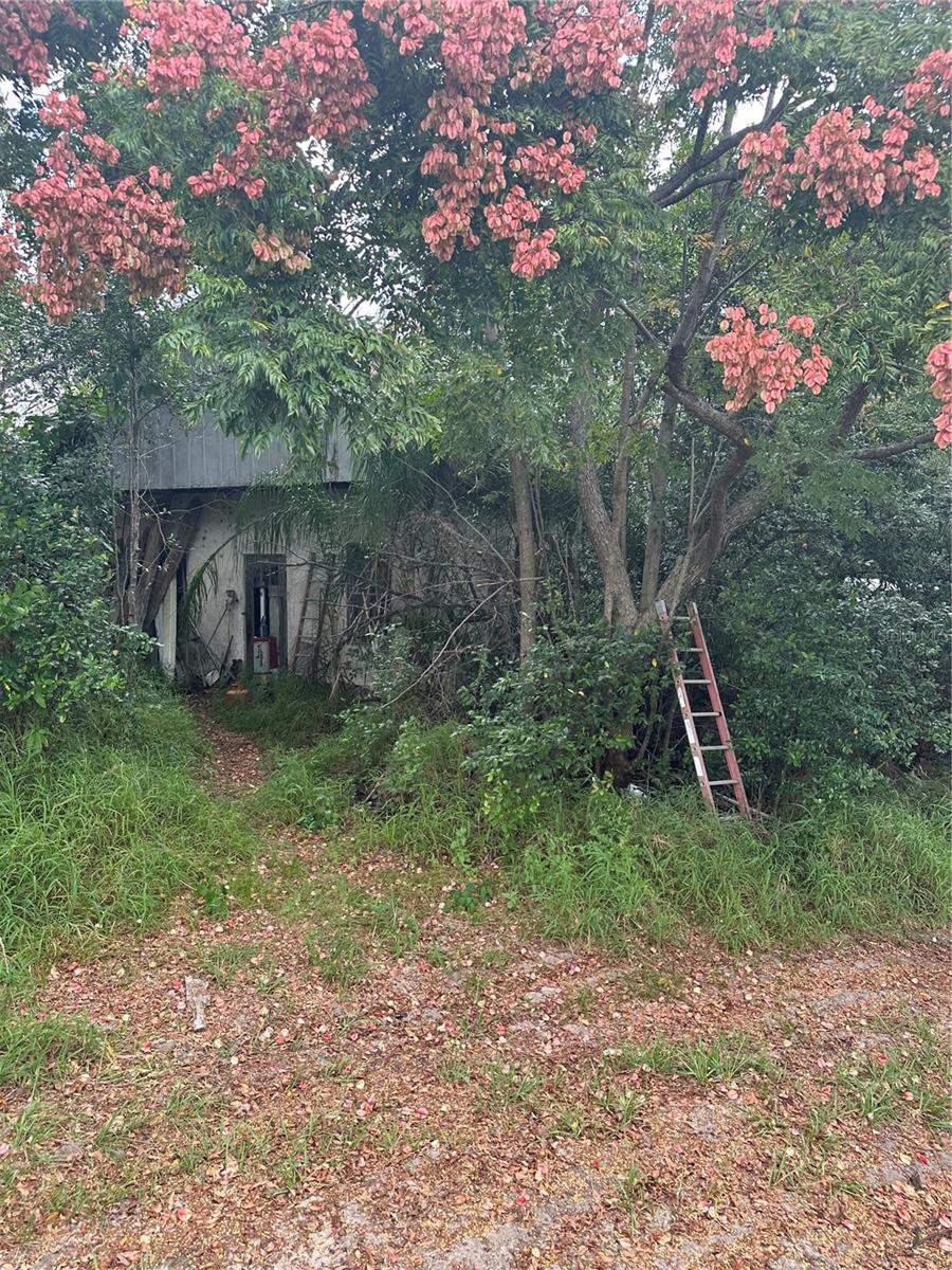 4998 LAKE LOWERY RD, HAINES CITY, FL, 33844