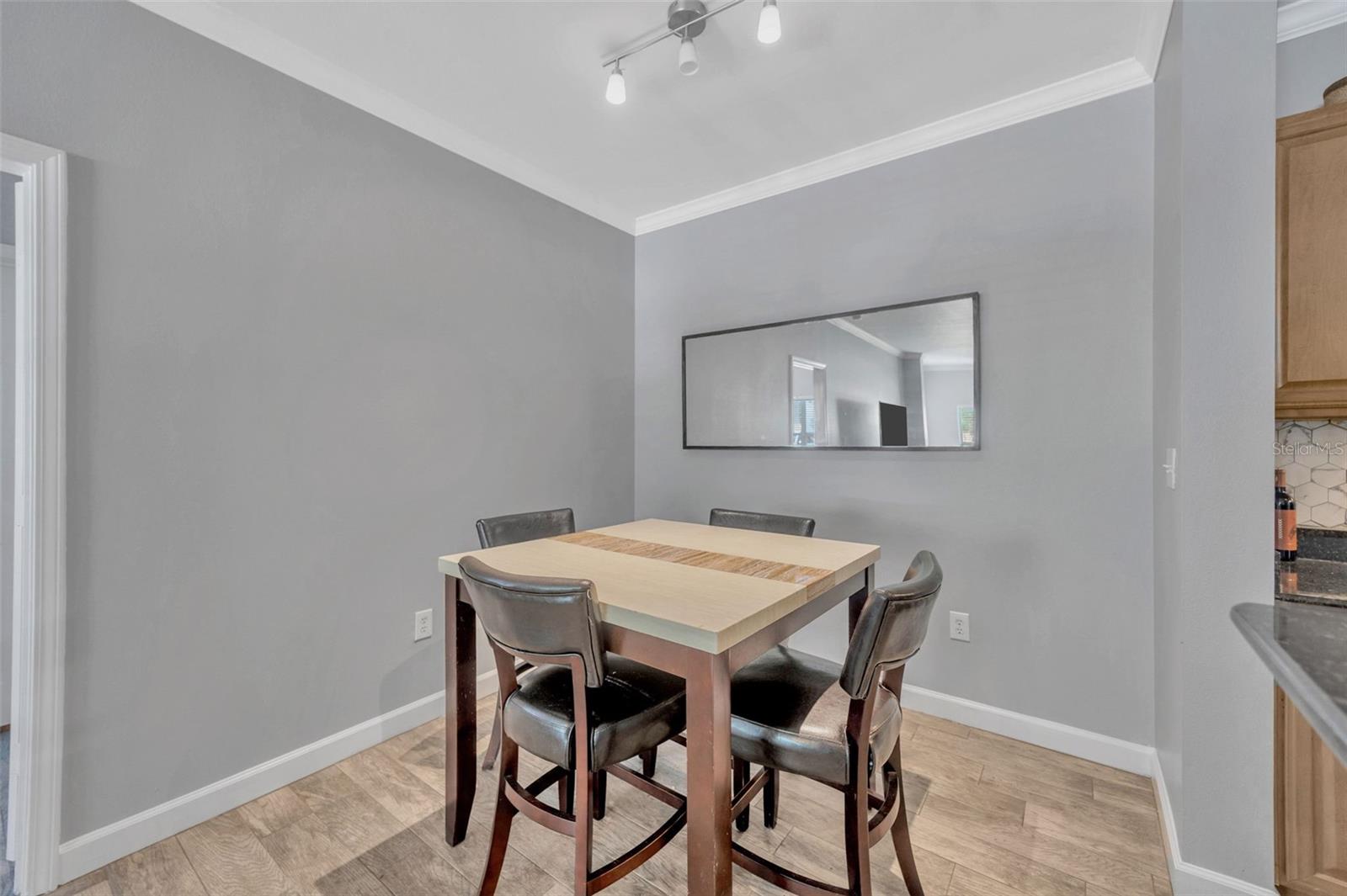 18573 BRIDLE CLUB DR #18573, TAMPA, FL, 33647