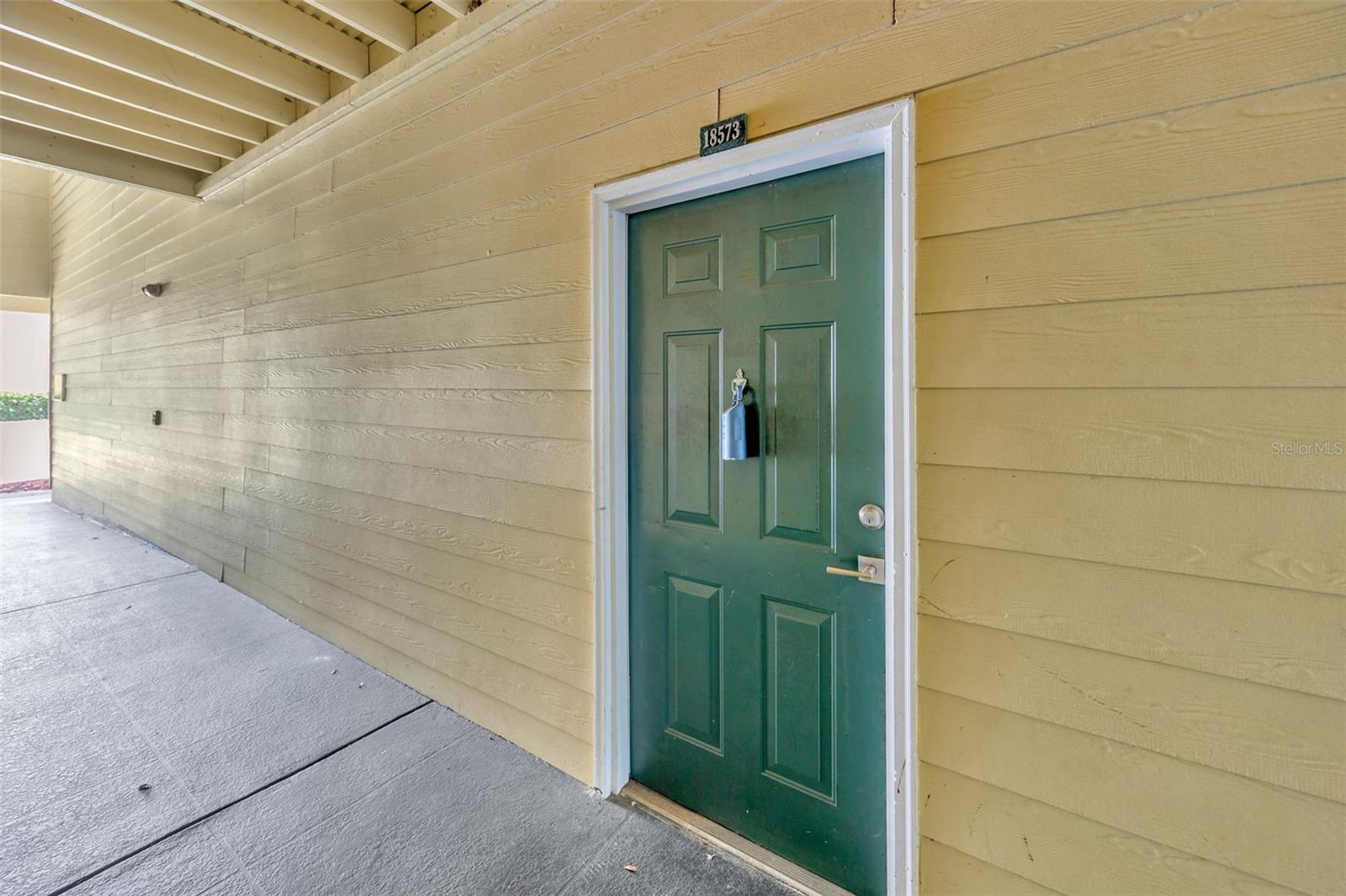 18573 BRIDLE CLUB DR #18573, TAMPA, FL, 33647